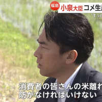 猛烈にテレビ映えする、猛烈に違和感ある画角