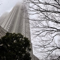 フォトウォーク〰︎雪の東京