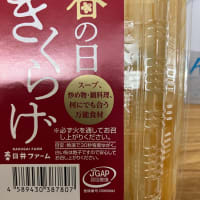 キクラゲの癌予防効果