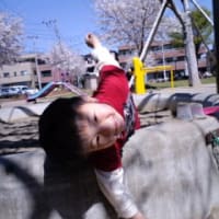 幼稚園初登園
