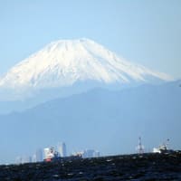 東京湾を挟んで富士山を見る