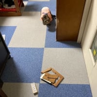 お、おいらのせいか？