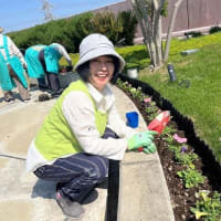 松原市緑化協会の花の植え替え