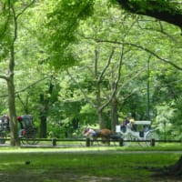 NYのお薦め散歩道　（3） Central Park‐2