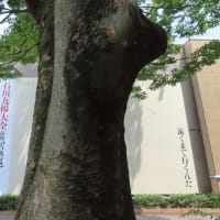 上野の森美術館へ