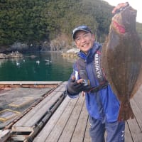 釣り納めは正徳丸さんでマダイ祭り