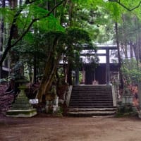 大阪で一番高い山-大阪府千早赤阪村：金剛山