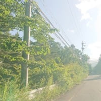 原村到着