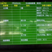 ホヤ復活っ！