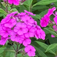 ７月なんだよね・・・