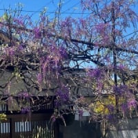珠にはお花も