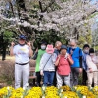 城山公園に　行って　お散歩に　行きました(マハロ班)