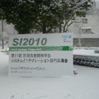 SI2010