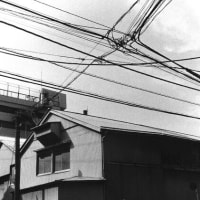 82. カメラが取り持つ縁