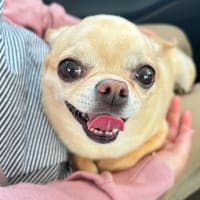 5月のさんぽ道
