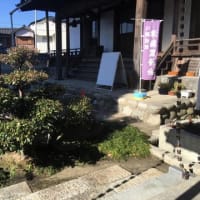 庫裡玄関前の　モッコクの木と石を撤去しました