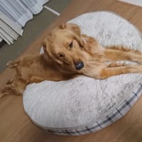 訓練終了から１週間