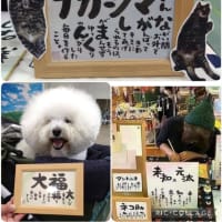 【Creators Land】出店のお知らせ