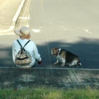 どこかの女性が犬を連れて一休みです。