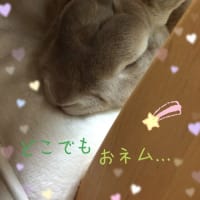 椅子取りゲーム