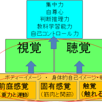 感覚統合によるかかわり方 考える 学ぶ 教育サイト