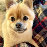 今、読んでいる本！