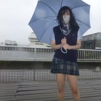 冷蔵庫の中身