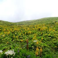 伊吹山