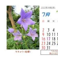 ◎7月の花：2006～2021～まとめ