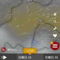 函館マラソンの気象条件