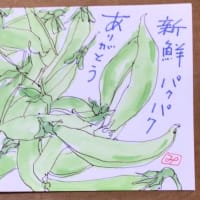 新鮮パクパク　ありがとう