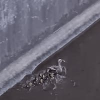 気になることが解決した