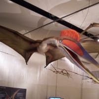 世界最大の翼竜展　いのちのたび博物館