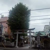 柏神社(柏駅)