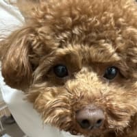 サークル！