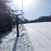 一人でスキーに行ってきました。