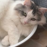 微妙な気温