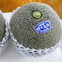 メロンが届きました / 実家へと・・・