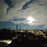 新宇宙のはじまり？