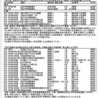 新ブログ カテゴリー「1923年関東大震災・朝鮮人虐殺・亀戸事件など」
