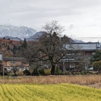 山に雪が積もりました。いよいよ冬到来でしょうか。。