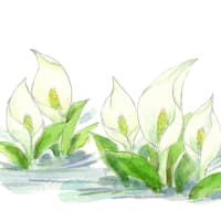 2025年4月のおしらせ