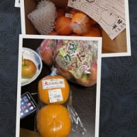似たもの