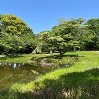 皐月の立夏　昭和記念公園で新緑を愛でる