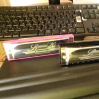 新規購入、テンホールズ・ハーモニカ