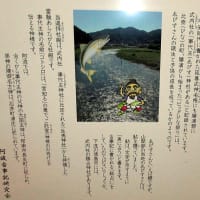 雛の里・勝浦と坂本八幡宮、雛・階段見物 。　四国周遊車中泊の旅 。
