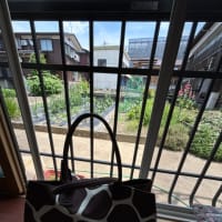 夏至とせかきキリンの日です。