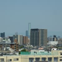 大阪の夏空・・・・・