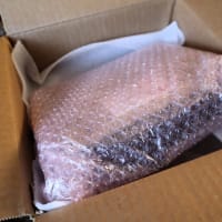 ポルシェ911（930）用の新品コンピュータ（DME／ECU）、修理完了？で戻ってきました。