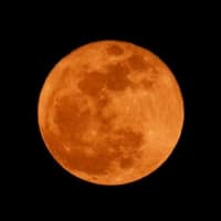 今夜は ピンクムーン（満月）